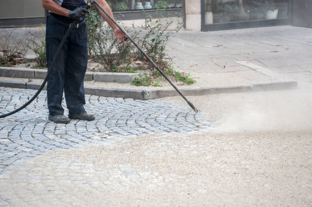 Best Animal Enclosure Cleaning  in Southwest Sandhill, TX